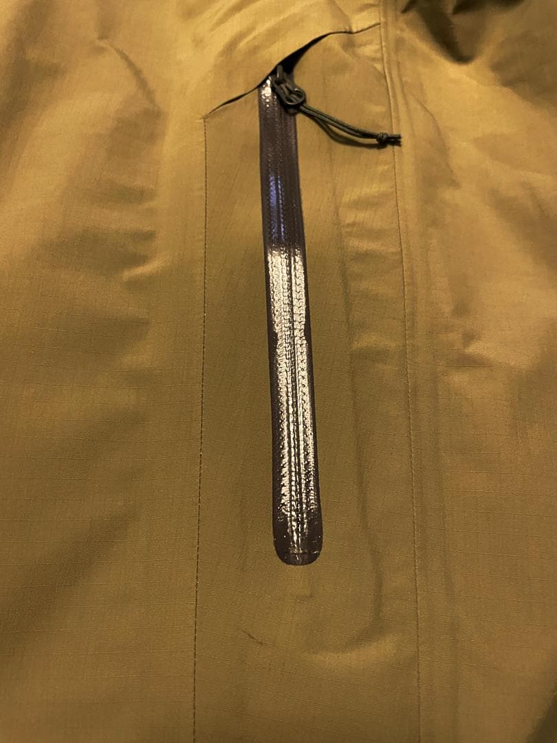 激レア 美品 ARC'TERYX BEAMS 別注 BETA SL 金ロゴ刺繍 - メルカリ