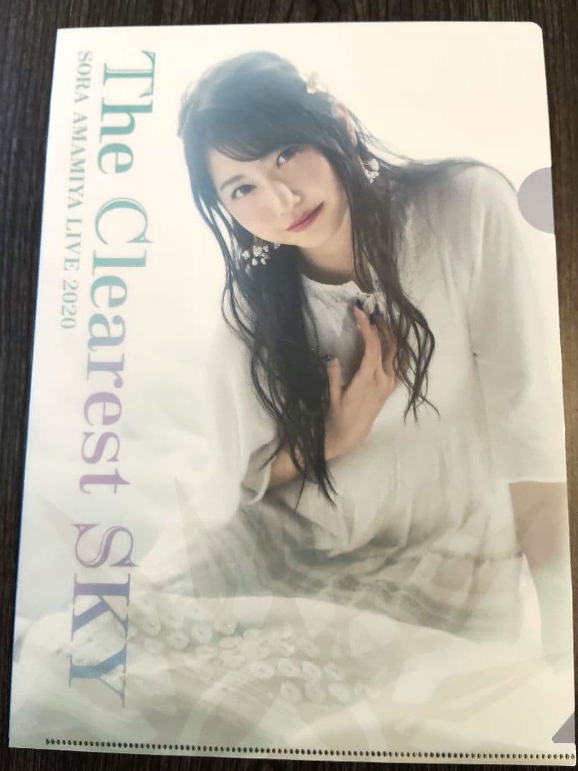 雨宮天 クリアファイル23枚セット - メルカリ