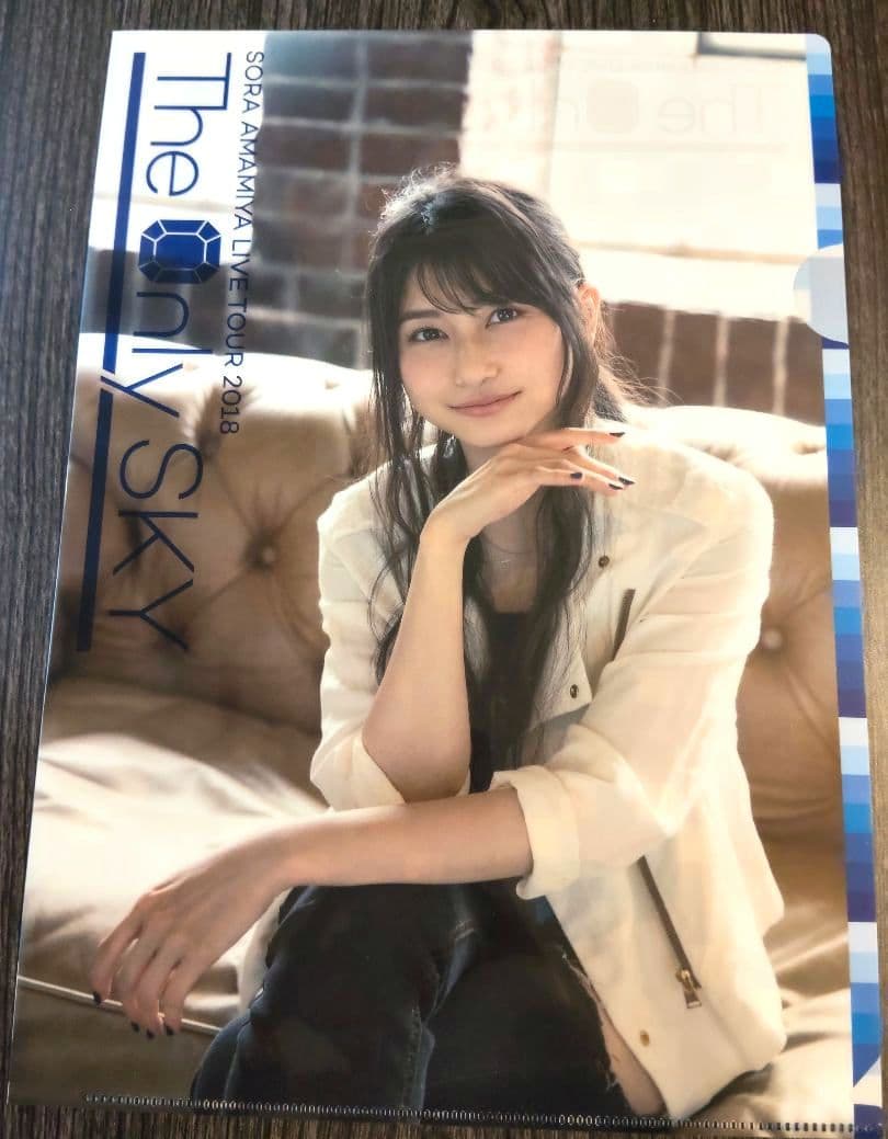 雨宮天 クリアファイル23枚セット - メルカリ