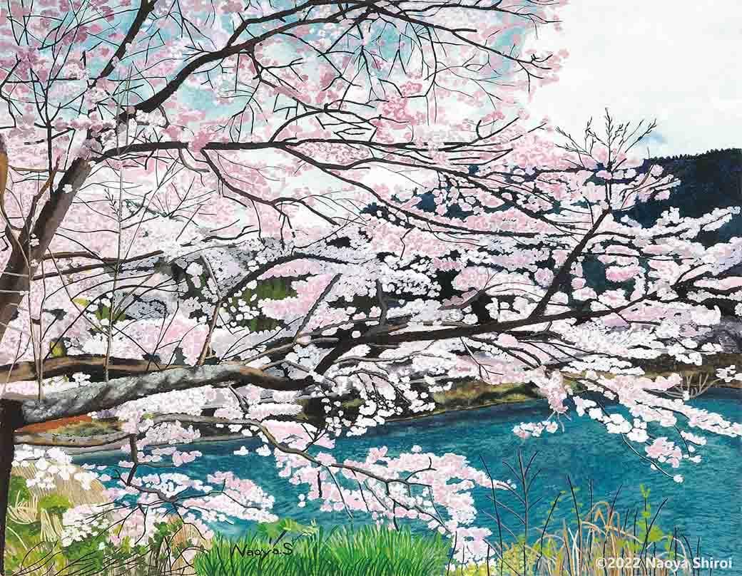 水彩画　ジクレー版画「日向神ダムの桜」（八女市）