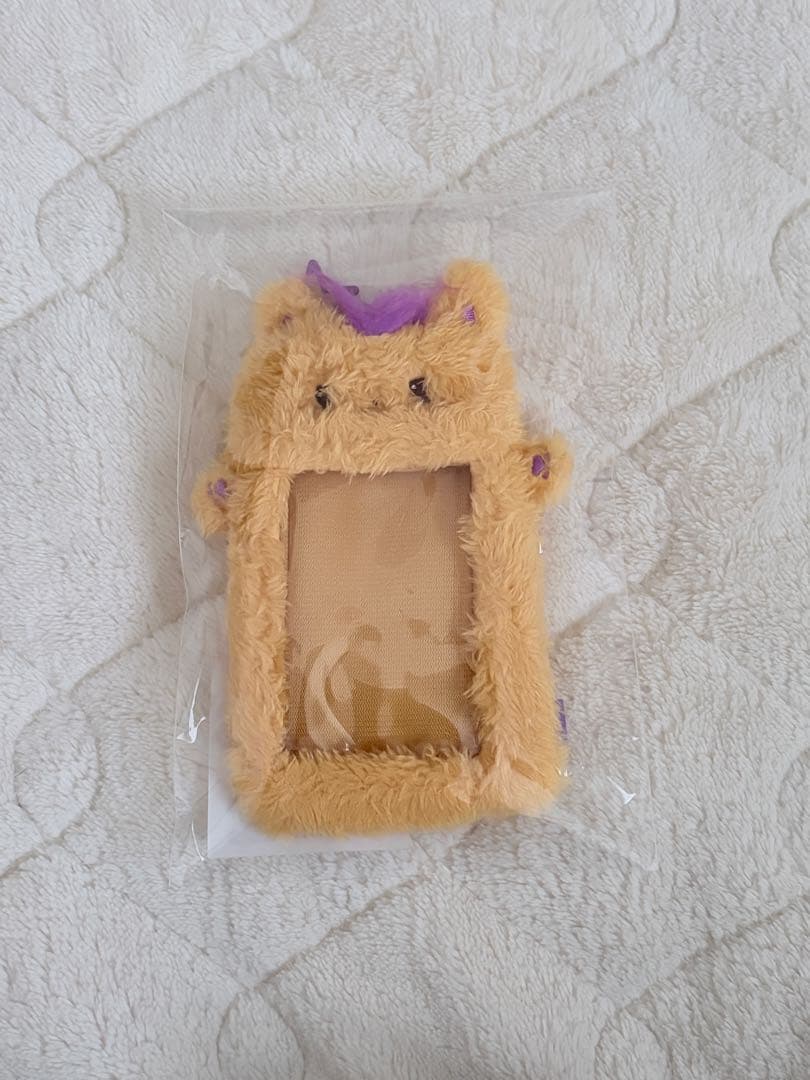 NCT WISH シオン COLOR MD トレカケース フォトカードホルダー - メルカリ