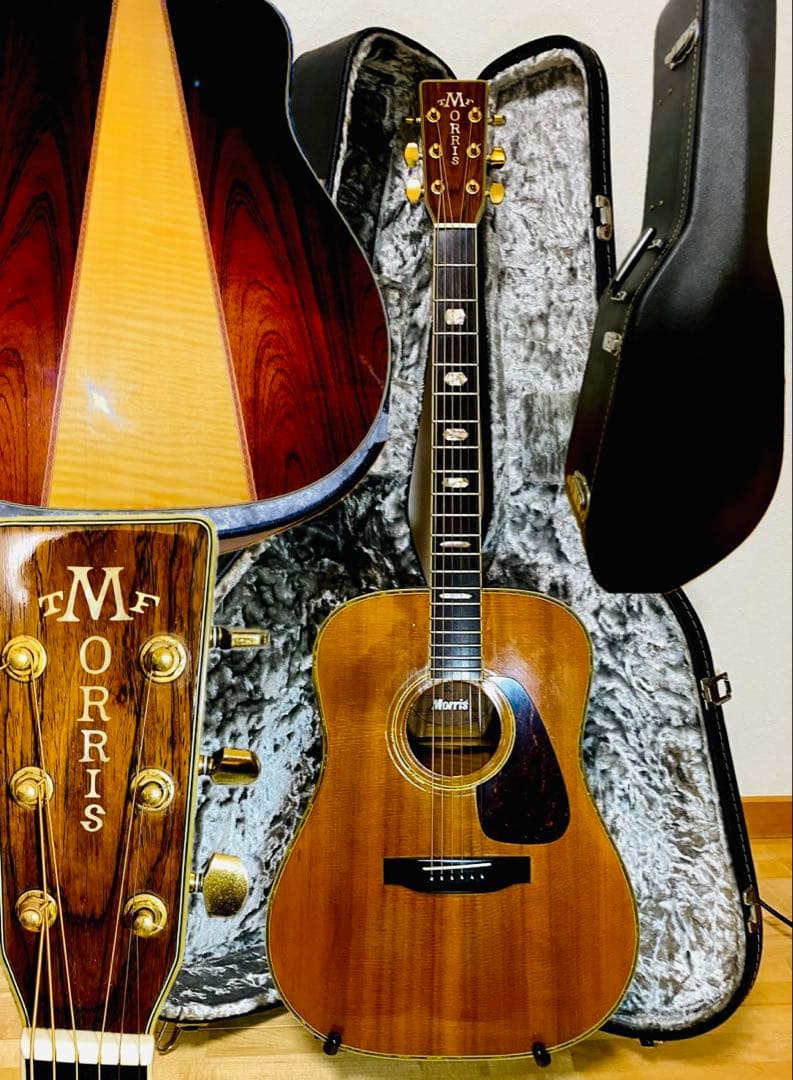 Morris アコースティックギター TF50スプルース単板ハカランダHC付 中古】Morris TF-50SP ハカランダ - 神奈川県の中古楽器店 パプリカ