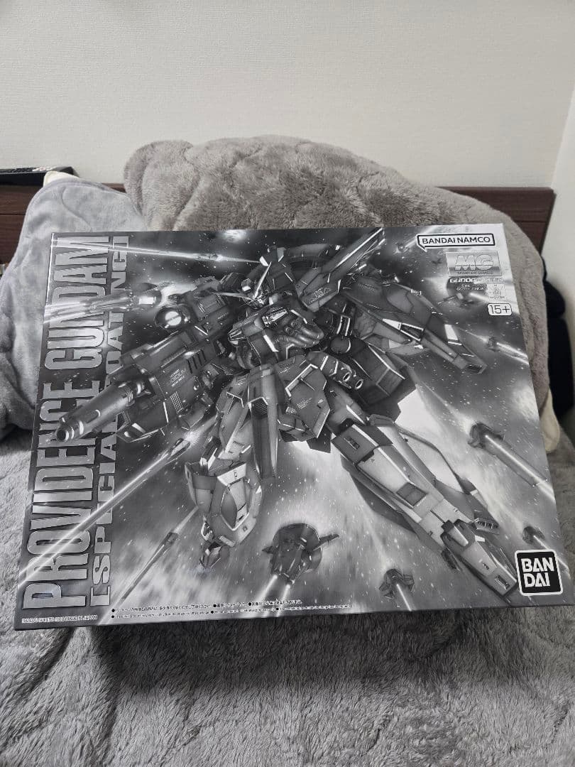 【新品未開封】ＭＧ1/100 プロヴィデンスガンダム [スペシャルコーティング]