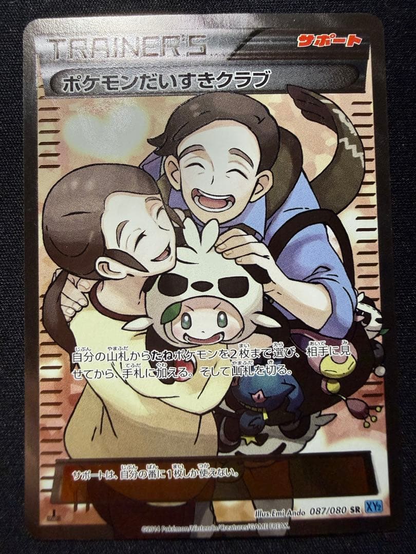 ポケモンだいすきクラブ SR XY2 ワイルドブレイズ 087/080