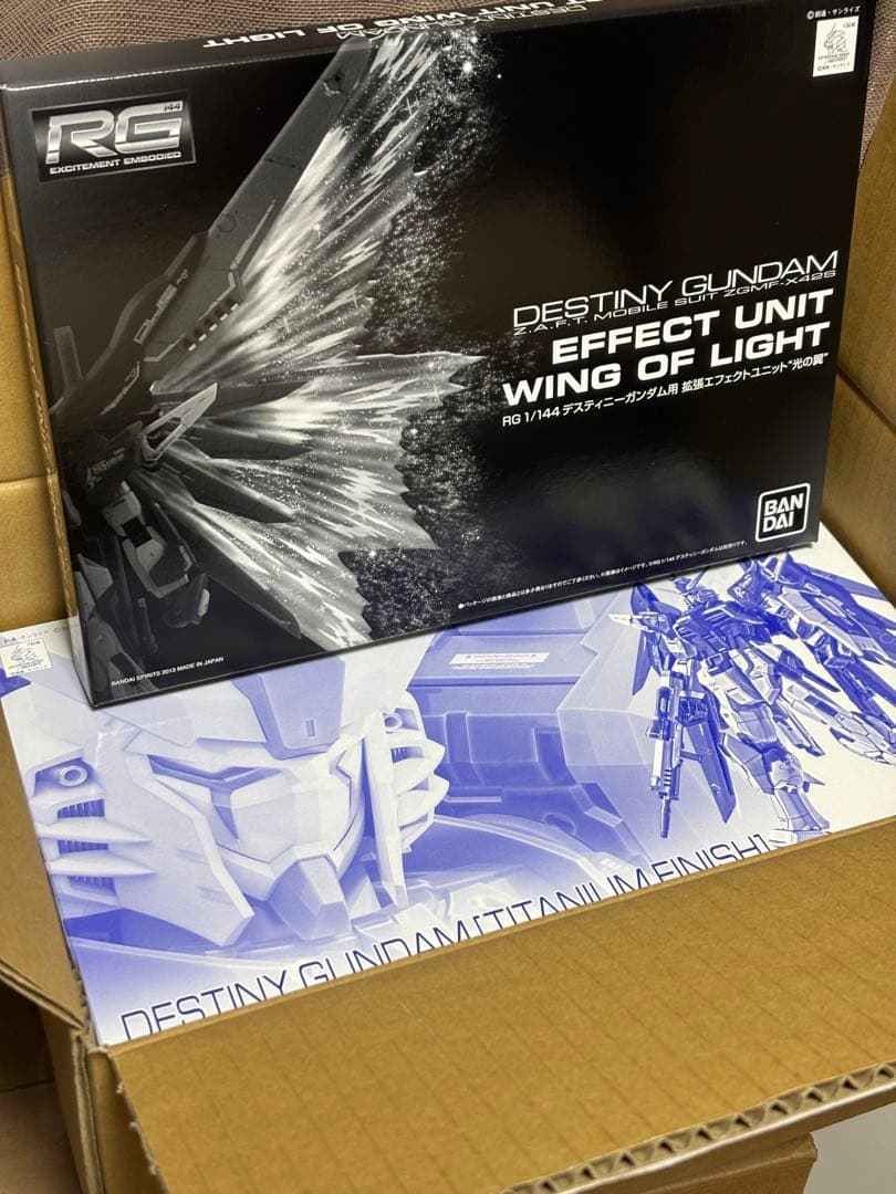 (未開封)RG デスティニーガンダム チタニウムフィニッシュ ＋ 光の翼セット RG 1/144 デスティニーガンダム［チタニウムフィニッシュ］│株式