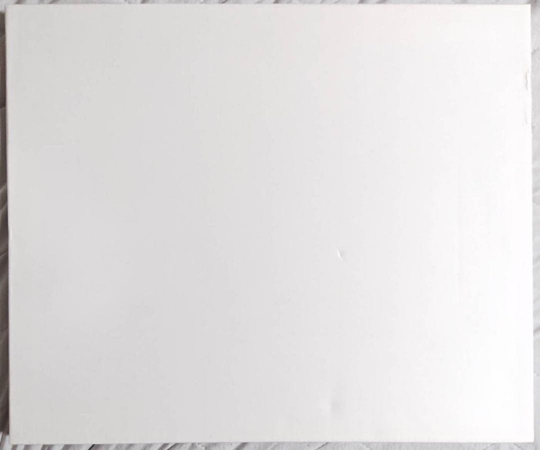 フリップフラッパーズ 直筆サイン入り 複製原画