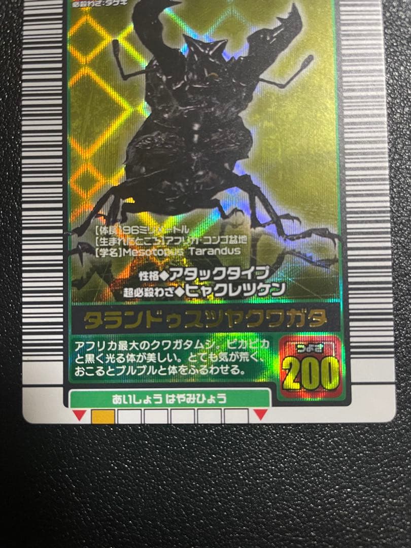 ✡*✡様 ムシキング タランドゥスツヤクワガタ 美品 2003 - メルカリ
