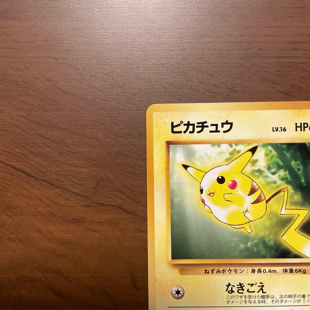 ポケモンカード旧裏面 ピカチュウlv16 イントロパック フシギダネ