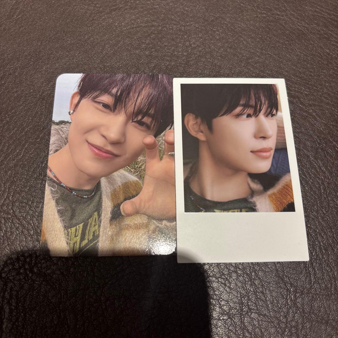 ald1 トレカ 封入 EUPHOLIA STAR ROAD ゴヌ - メルカリ