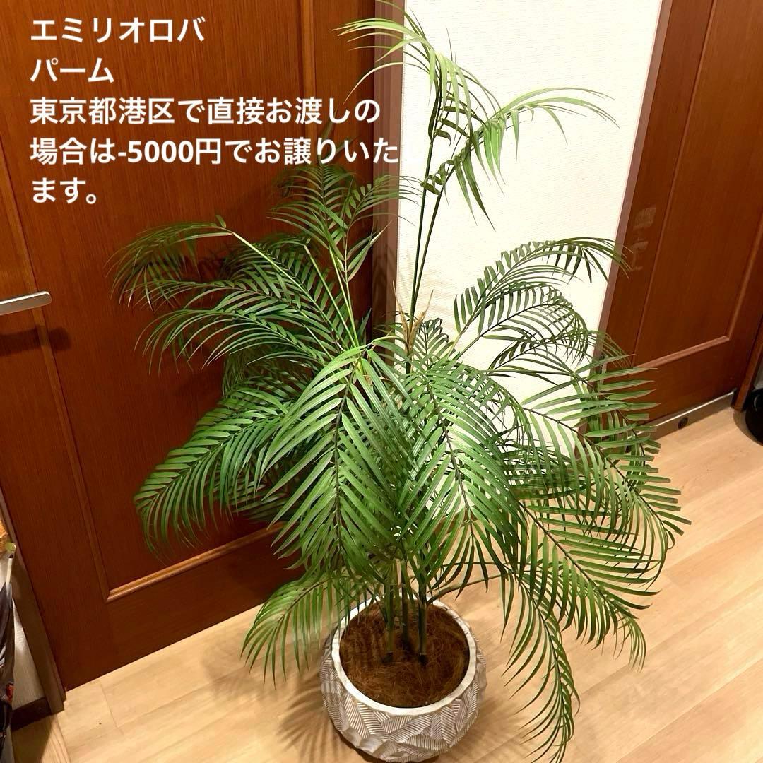 【港区にて直接お渡しも可能】　エミリオ　ロバ　パーム　グリーン アーティフィシャルグリーン パーム 観葉植物 インテリア お祝い
