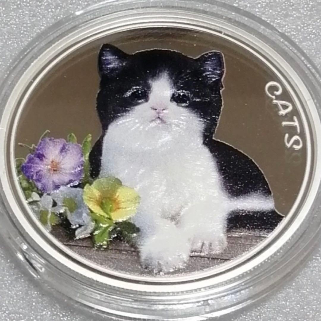 フィージー　2022年キャット銀貨カラー　1オンス カプセル付き