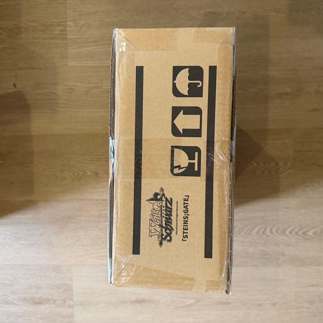 ヴァイス STEINS;GATE 中国版 簡体中文 1カートン - メルカリ