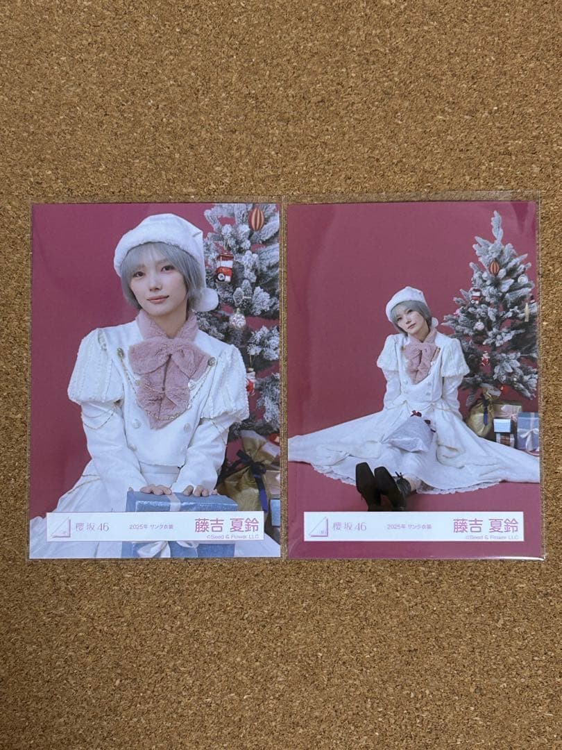 櫻坂46 藤吉夏鈴 2025年サンタ衣装 生写真 チュウ・座り - メルカリ