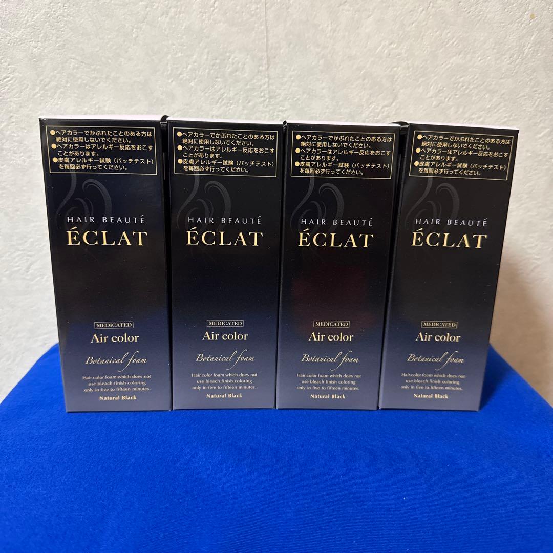 ボタニカルエアカラーフォーム（白髪染め）黒 4本セット新品未使用 大容量 ヘアボーテエクラ ボタニカル エアカラーフォーム EX ダーク
