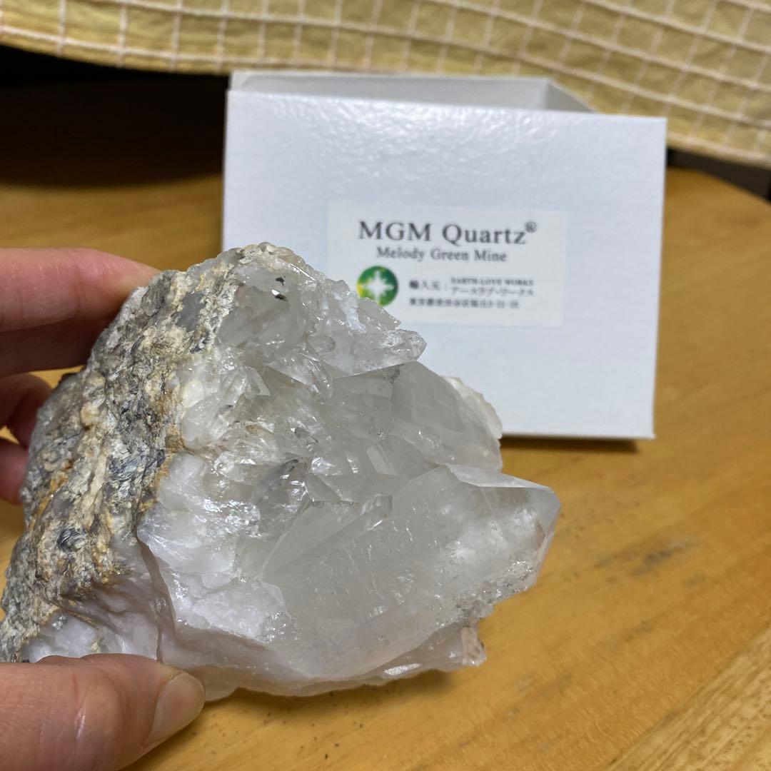 MGM【オールドストック・証明書あり】メロディ グリーン マイン