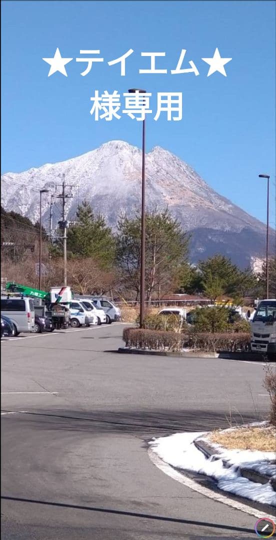 散髪用ハサミ　コバルト製