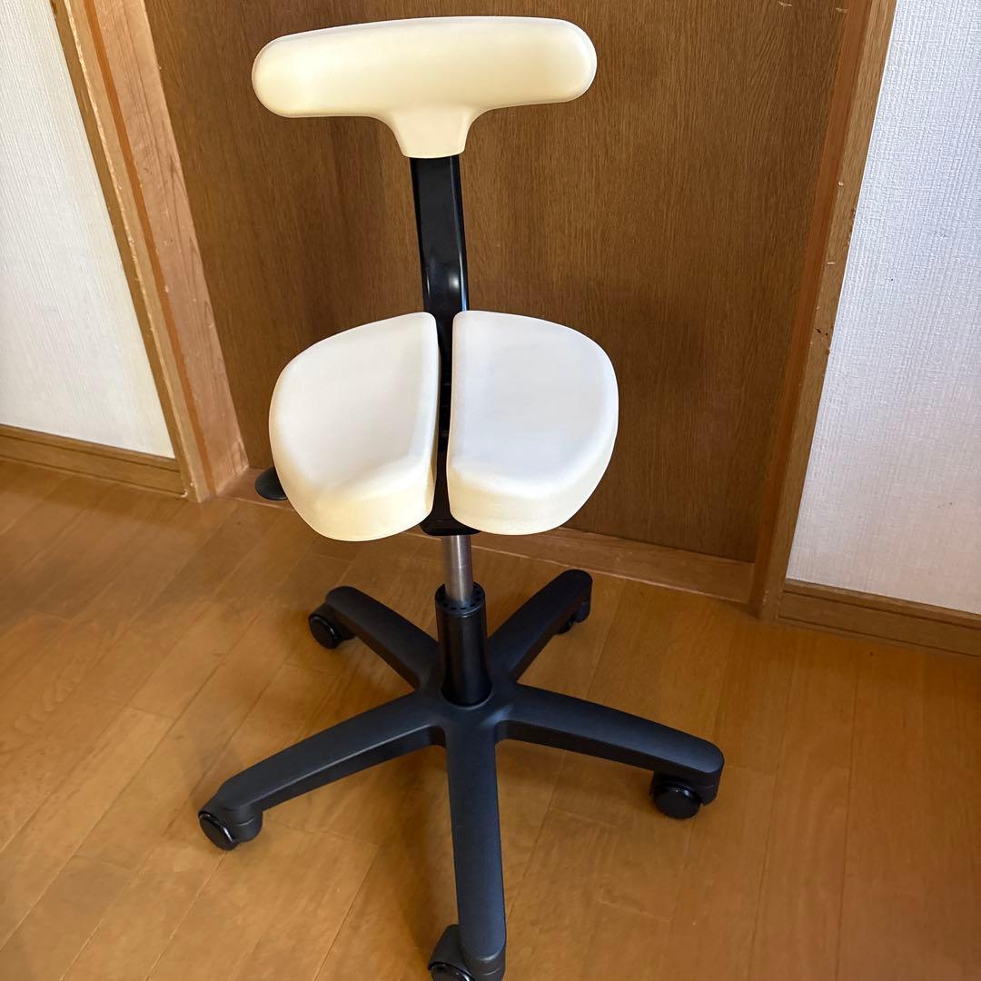Ayur Chair(アーユルチェアー)オクトパス※シートカバー付き