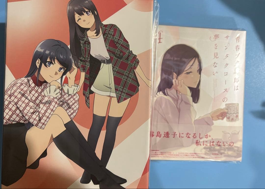 青春ブタ野郎はサンタクロースの夢を見ない 4 完全生産限定版 DVD 収納BOX