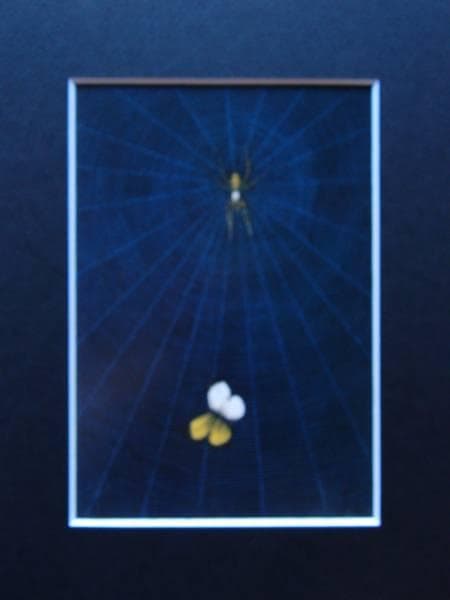 加山 又造、蜘蛛と蝶、希少画集画、新品額装、状態良好