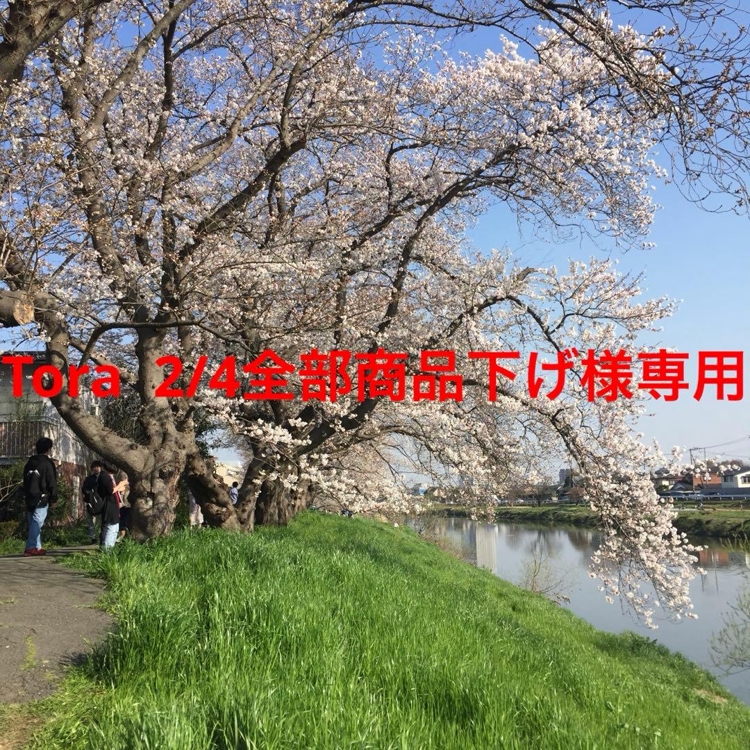 Tora 2/4全部商品下げ トミックス TOMIX PZ6297 床下部品（TNカプラー・空気配管付用・グレー