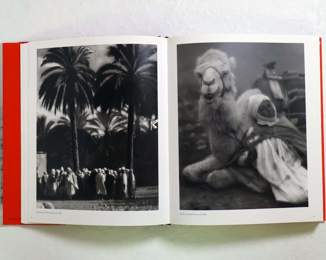 芸術写真 MARTIN MUNKACSI