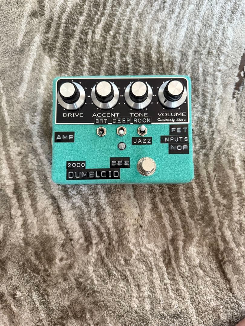 ギター DUMBLOID \