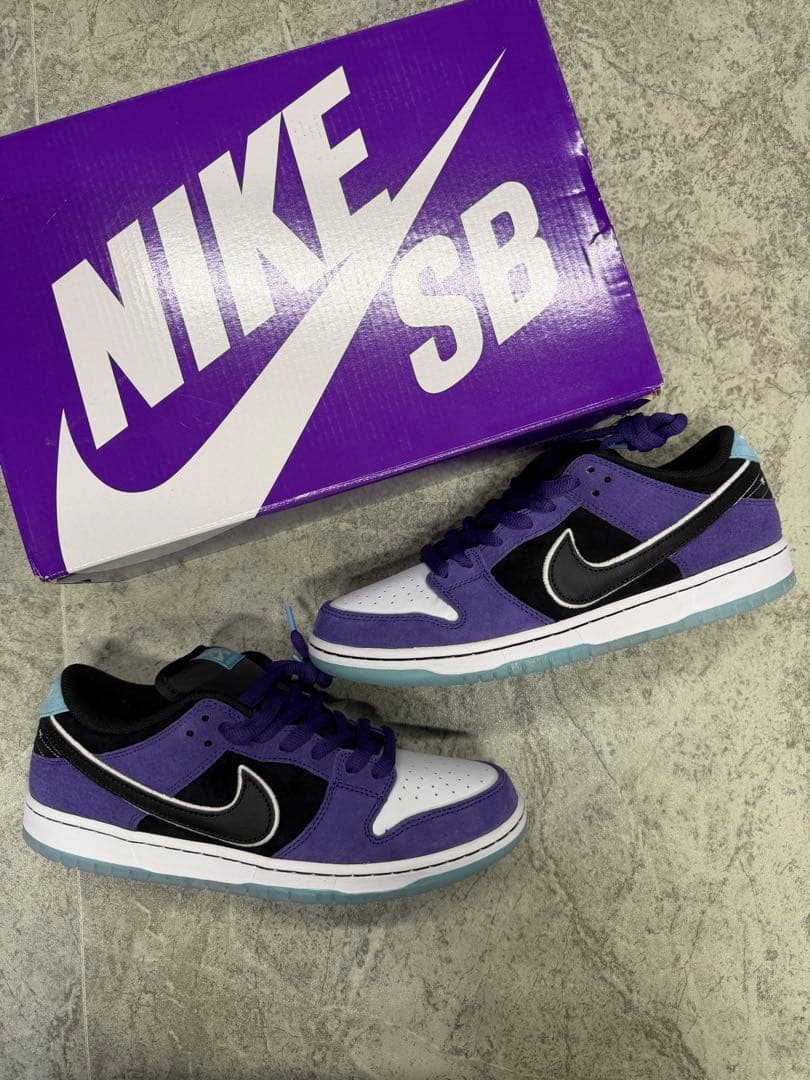 Hayley Wilson × Nike SB Dunk Low ヘンリー