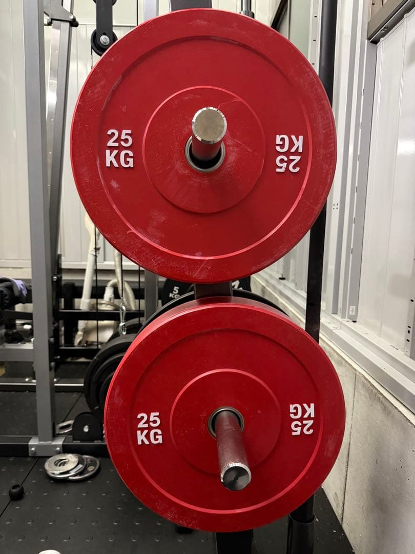 25KG オリンピック　プレート 2枚セット