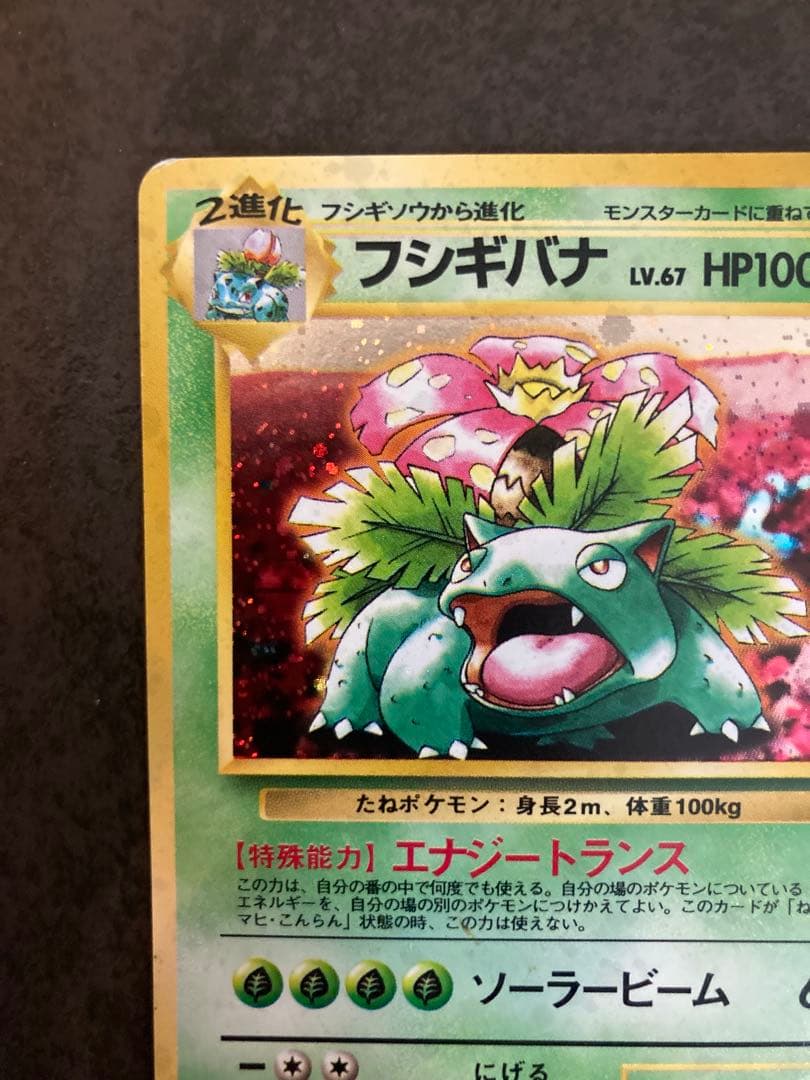 旧裏】フシギバナ イントロパック - メルカリ