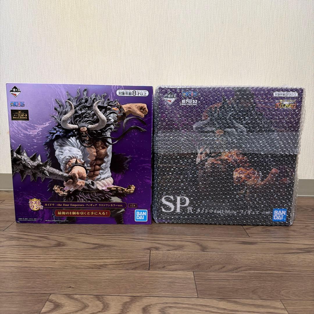 ⭐️迫力満点　カイドウ　2点セット⭐️