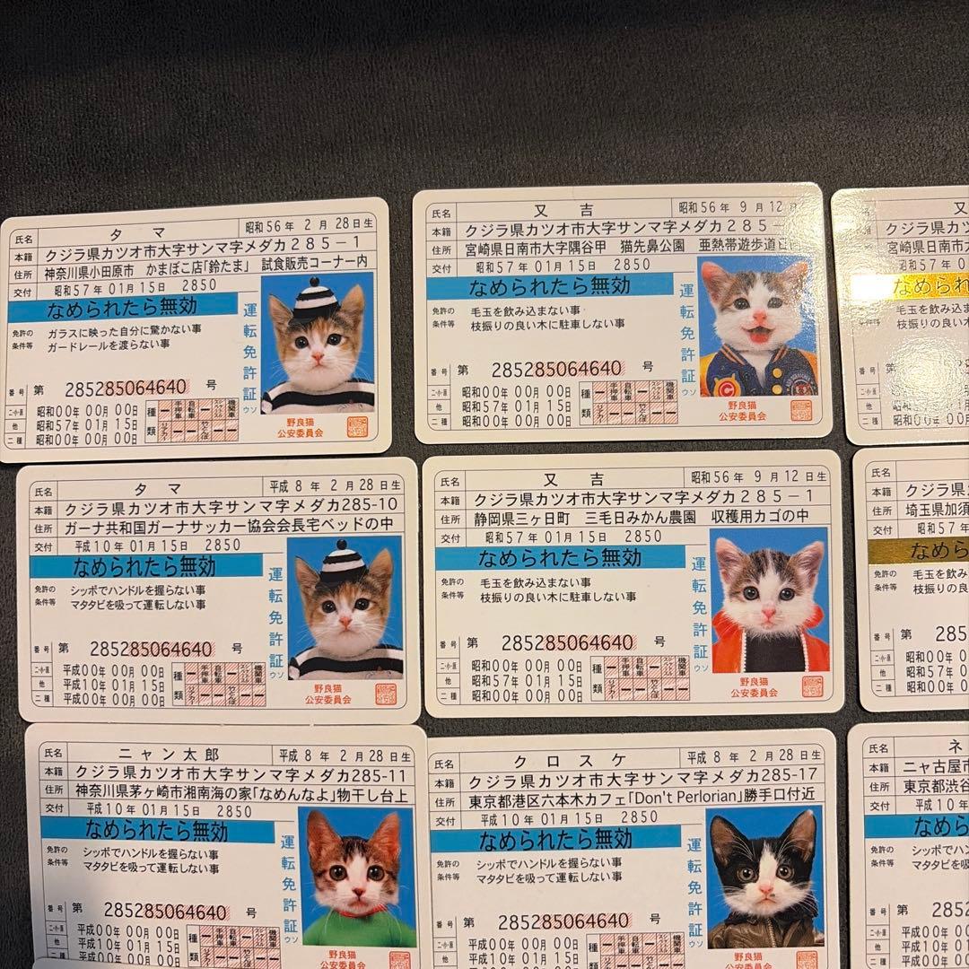 なめ猫 カード 19枚セット - メルカリ