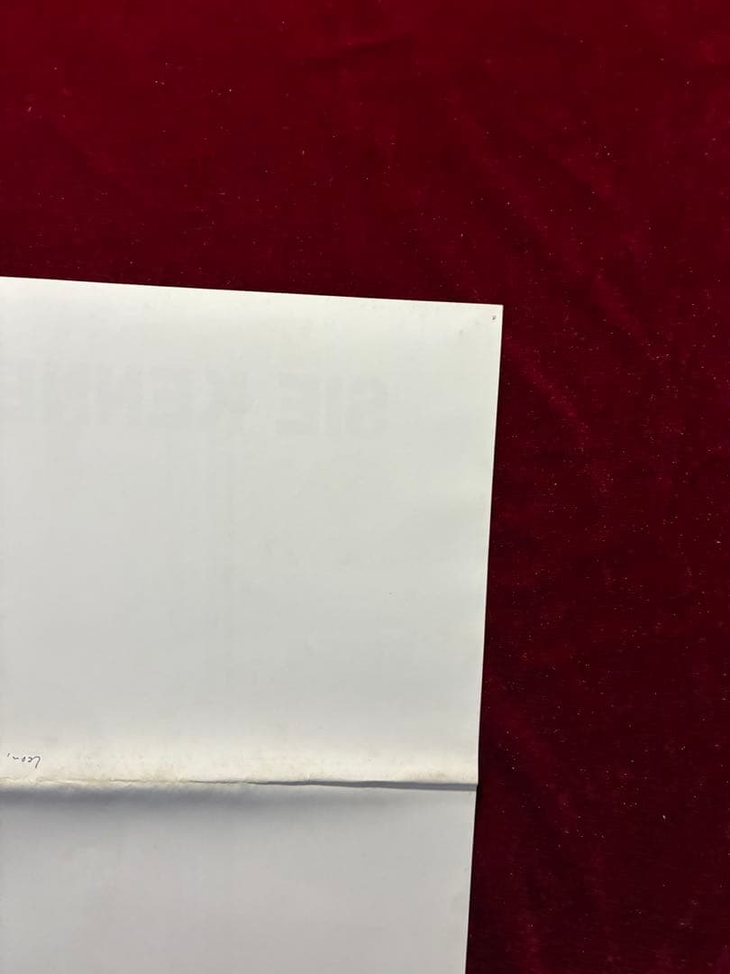 レオン 完全版 劇場用ポスター A1 ドイツ版 - メルカリ