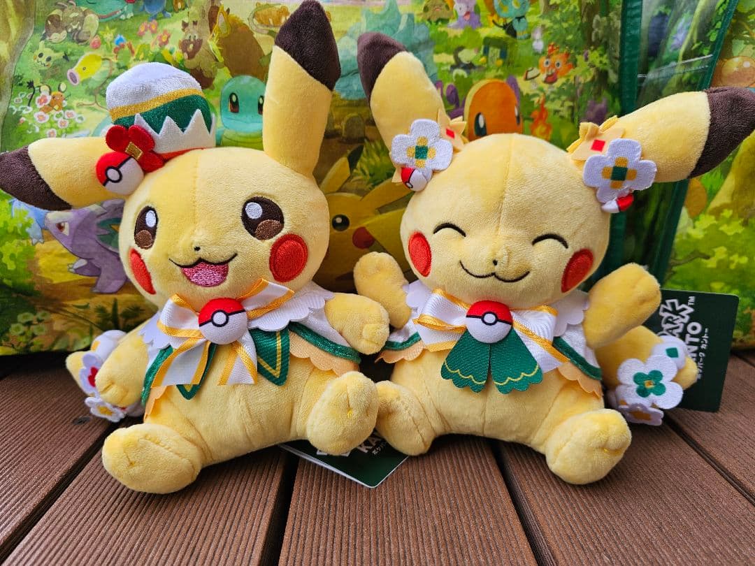 ポケパーク カントー ピカチュウ ぬいぐるみ 2種セット 限定