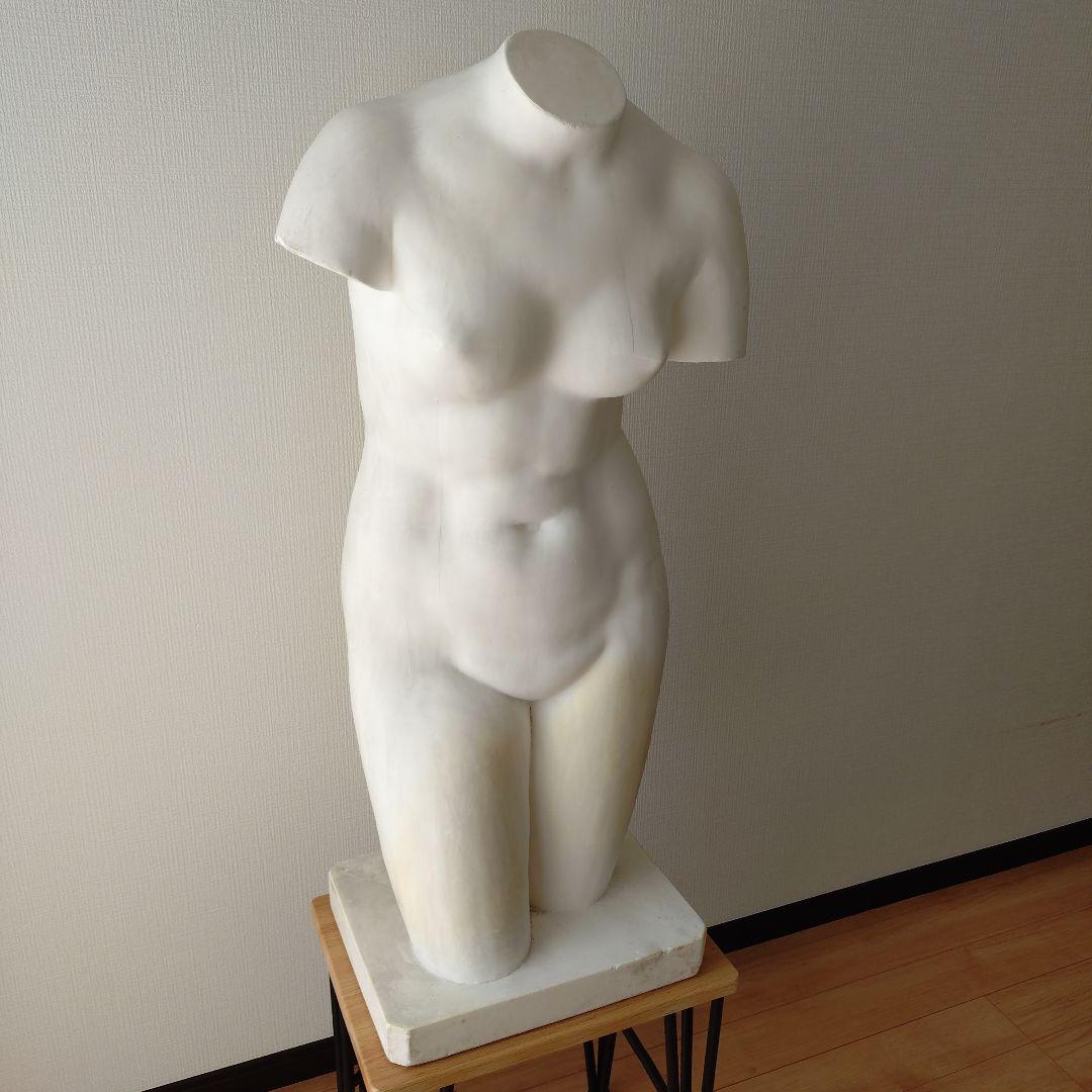 裸婦像　石膏トルソー ホルベイン】石膏像 トルソー【納期:約4ヶ月】の通販|モチーフの通販