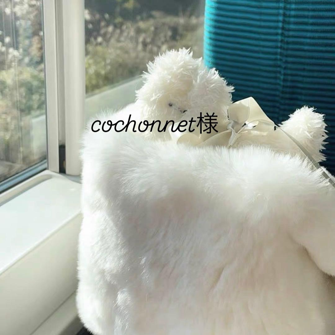 トップス cochonnet Torrazzo Donna（トラッゾドンナ） ニット ポロシャツ 6262-462