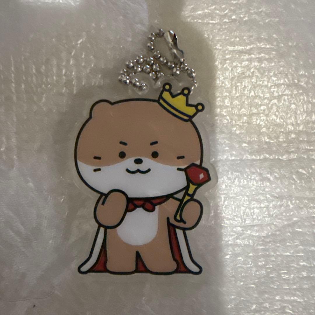 t*r様 seventeen セブチ ミニティーン ディノ アクリルキーリング