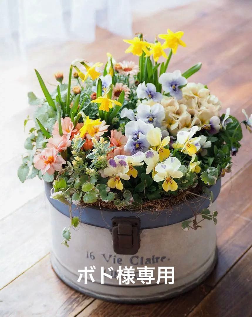 キュートなブリキポットの春色寄せ植え