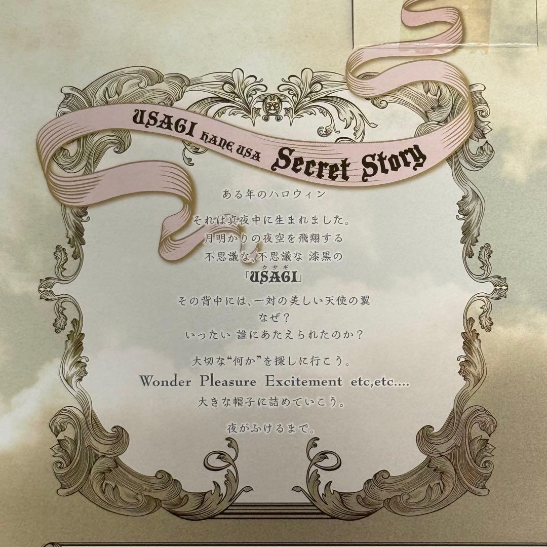 め*ゃ様 【送料込】HYDE HANE USA