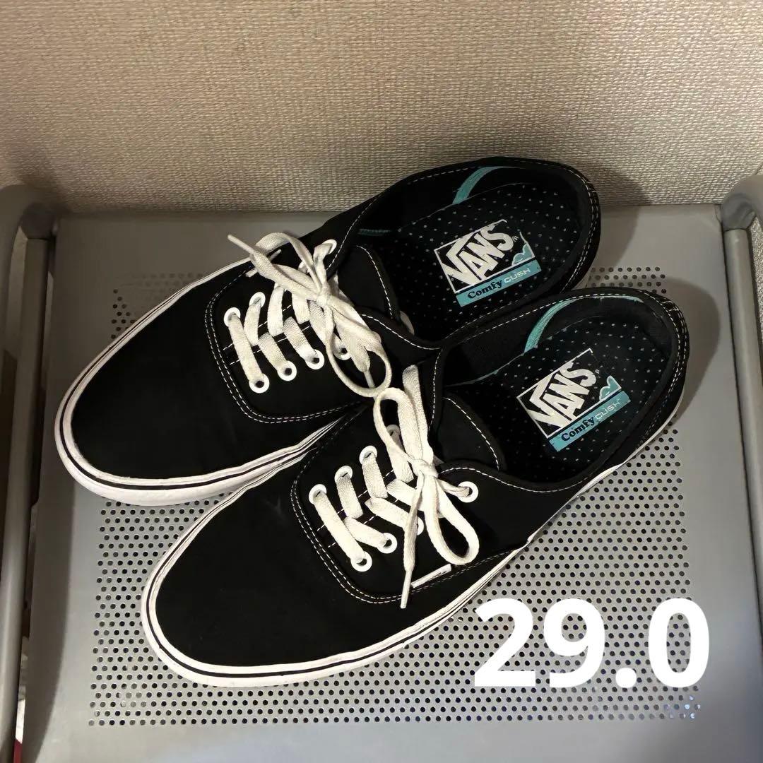 廃番 vans コンフィクッシュ オーセンティック 29.0 野村訓市 着用