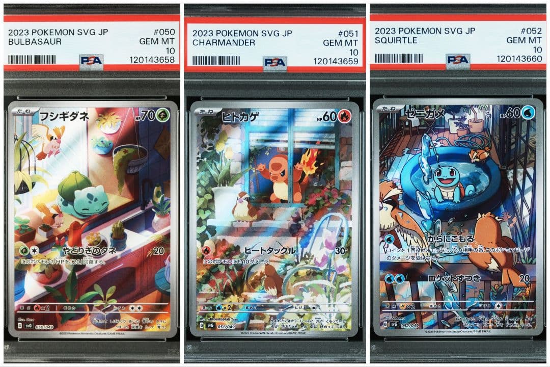 PSA10 連番ポケモンカード スペシャルデッキセットEXex 御三家