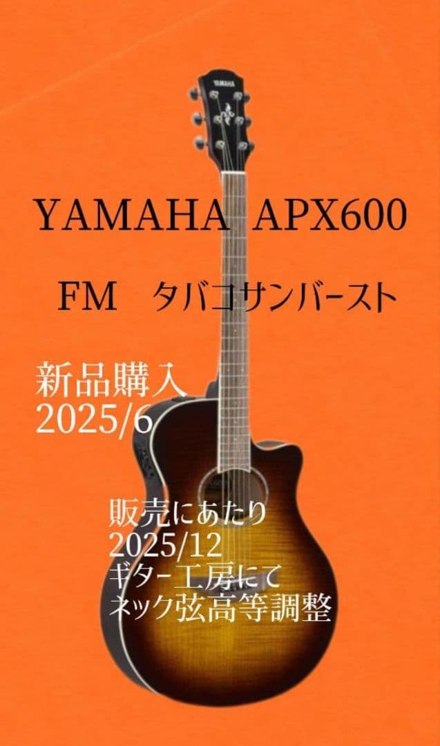ギター YAMAHA APX600FM