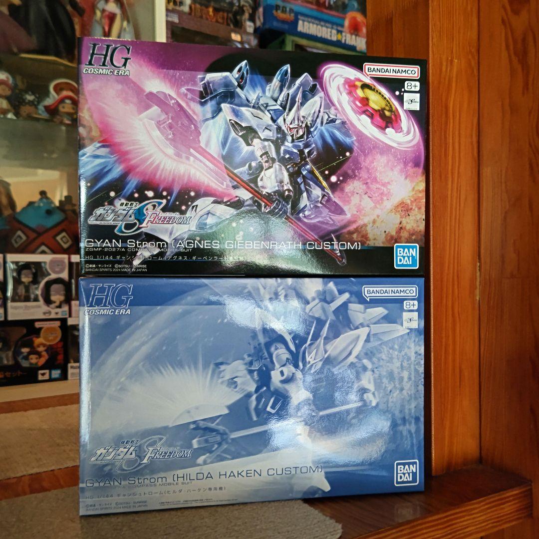 ガンプラ 未組立 HG ギャン_シュトローム アグネス機 ヒルダ機 ２点セット