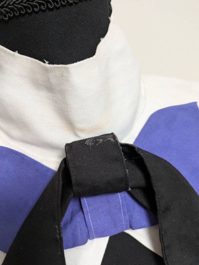 ポケモン ZA ムク コスプレ 衣装 ウィッグ フルセット - メルカリ