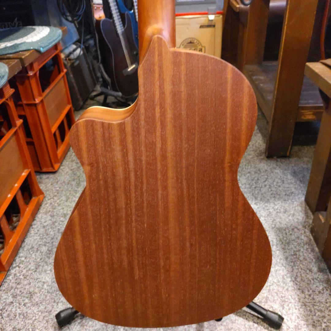 Alhambra Z-Nature CW EZ エレガット (管理カキ)