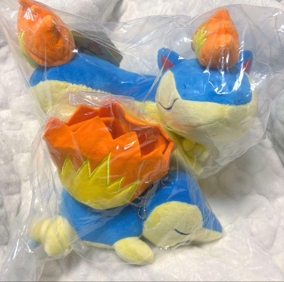 マグマラシ ぬいぐるみ ヒノアラシ マスコット 海外ポケモンセンター