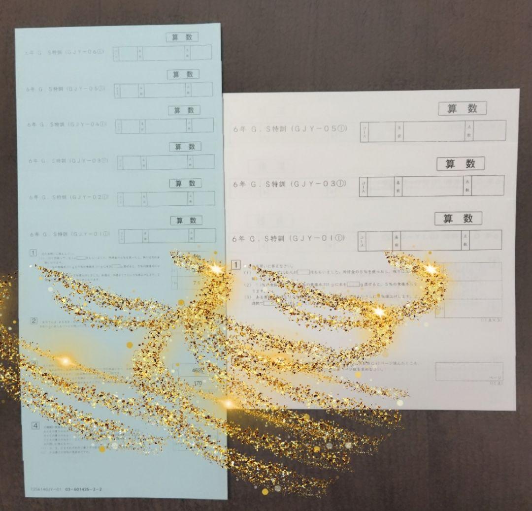 6年算数 G.S特訓 GJY01～06解答 女子学院問題 おまけ付き SAPIX - メルカリ