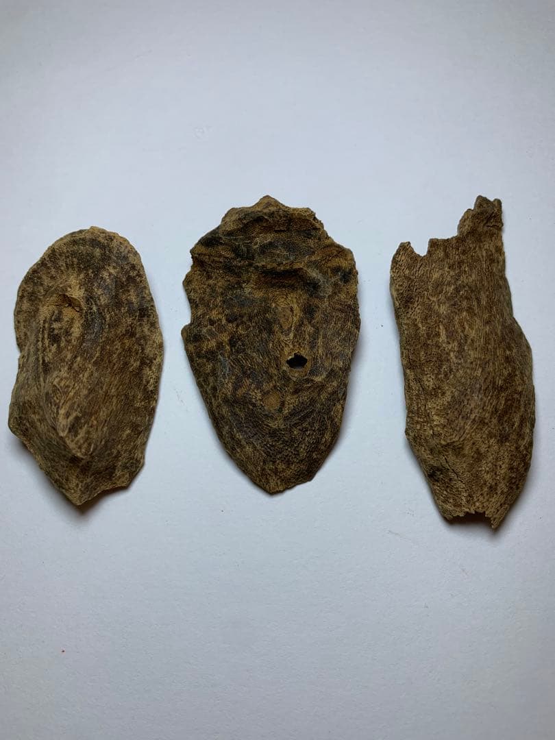 香木 ベトナム産  極品沈界7.695g 最高級沈香 聞香お香 沈香 伽羅 香道