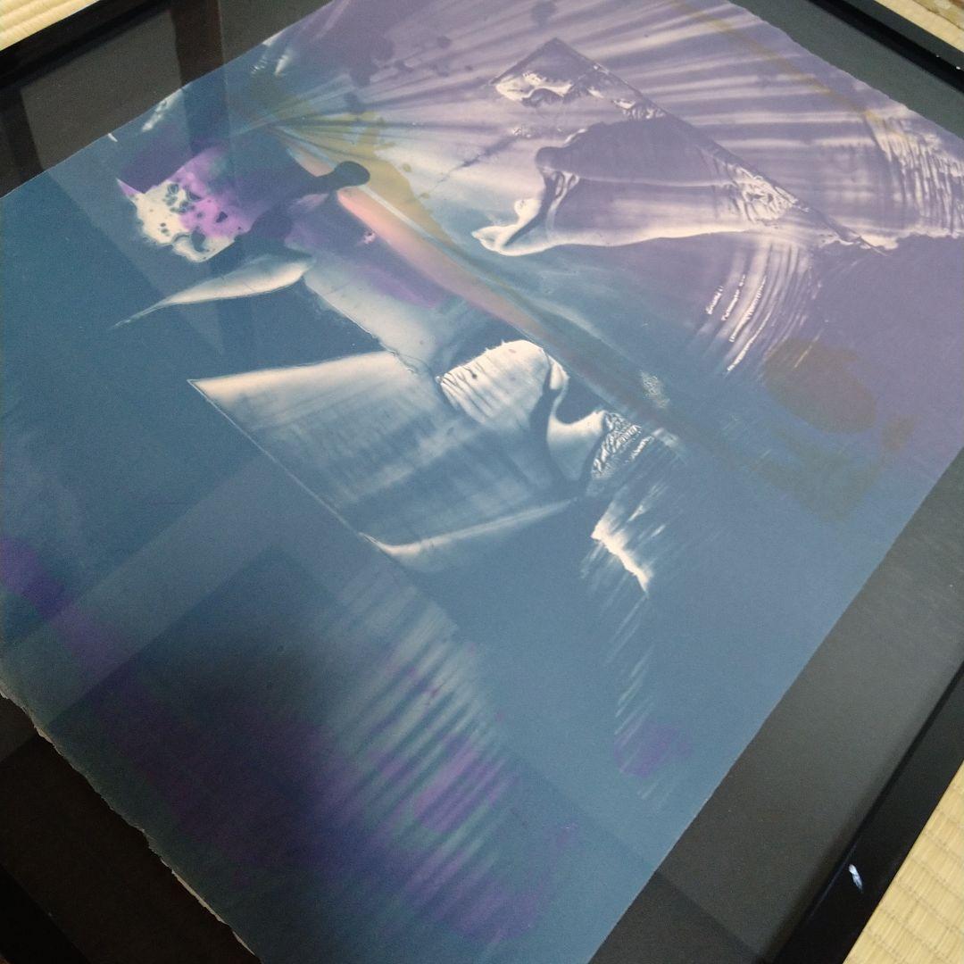 紫綬褒章受賞 【加納光於】 額装66×79cm 限定版 - メルカリ