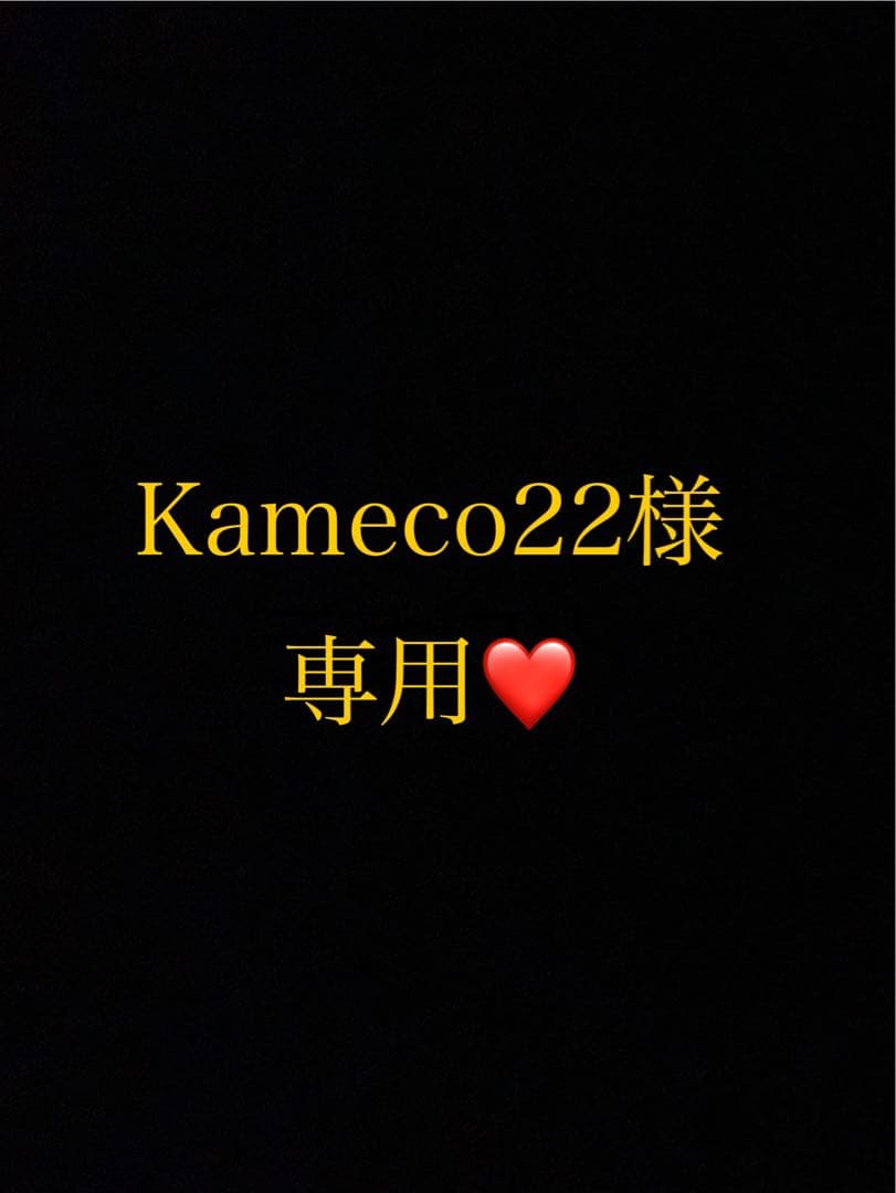 Kameco22ページ