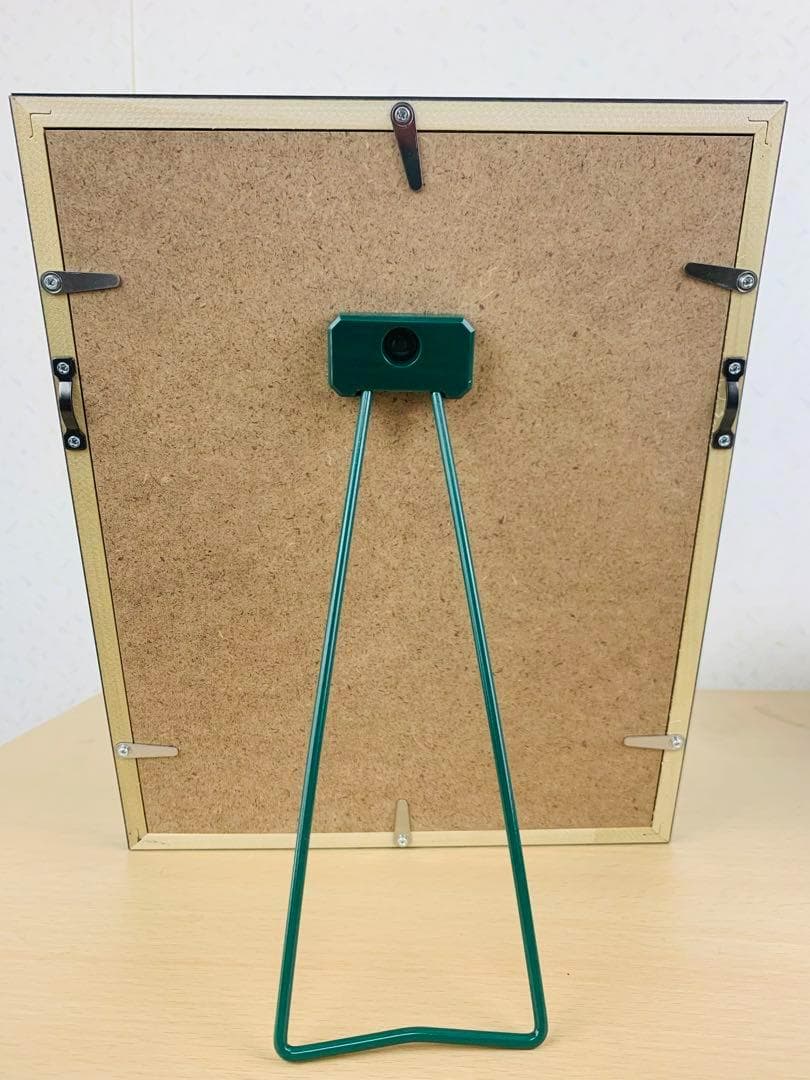 ゴールデンカムイ展 全巻 ピンズ セット ゴールデンカムイ 額装付き